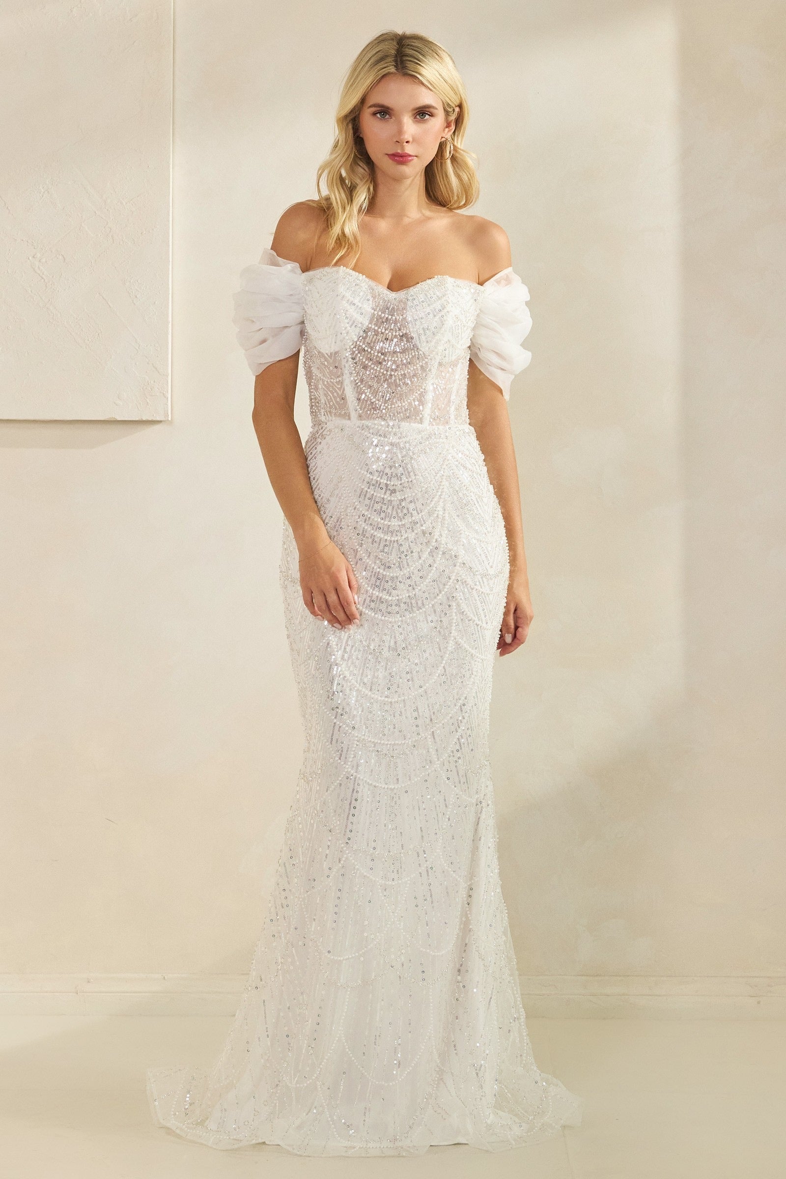 Sequin Ann Ruffel Shoulder Dress