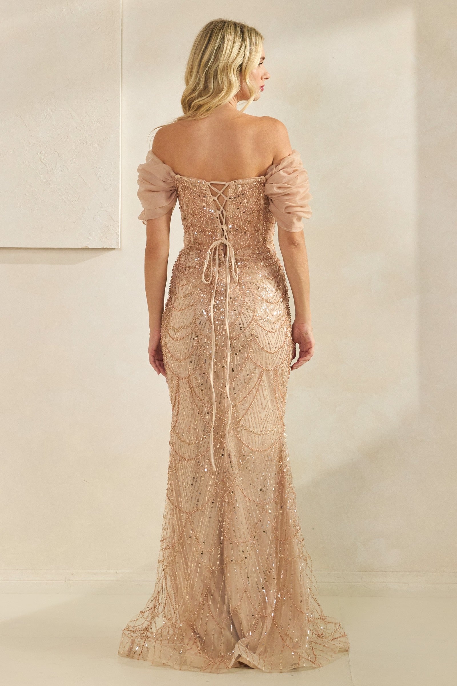 Sequin Ann Ruffel Shoulder Dress